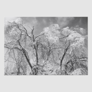 Papel De Seda los árboles llevan invierno