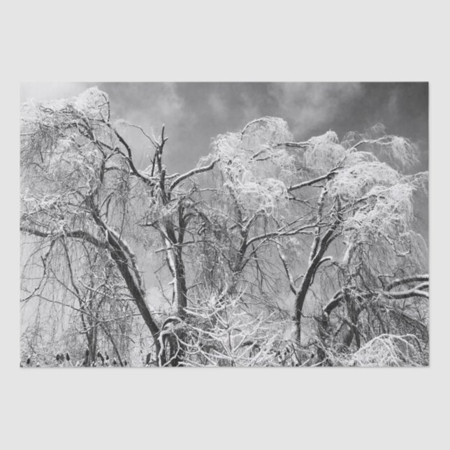 Papel De Seda los árboles llevan invierno (Anverso)