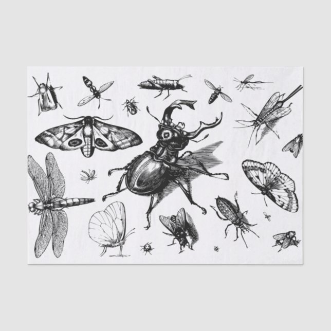 Papel De Seda Los bichos variados negro y gris (Anverso)