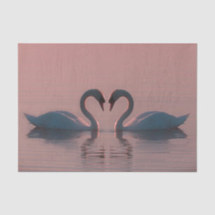 Papel De Seda Los Cisnes Negros Deben Ser Amados Por El Cielo Ro