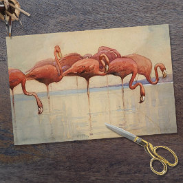 Papel De Seda Los flamencos de Sidney Long 1917