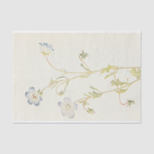 Papel De Seda Los ojos azules bebés por Margaret Armstrong