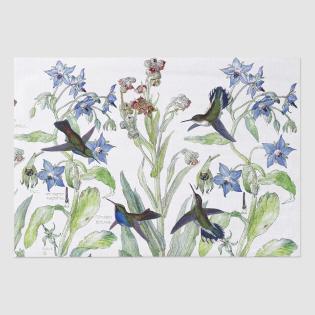 Papel De Seda Los pájaros Starflower del colibrí florecen el (Anverso)