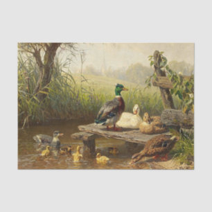 Papel De Seda Los patos en el estanque de Carl Jutz