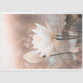 Papel De Seda Loto Blanco, Rosa Rosado, Hierba de Pampas, lago b