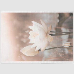 Papel De Seda Loto Blanco, Rosa Rosado, Hierba de Pampas, lago b