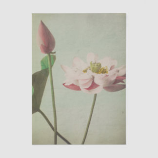 Papel De Seda Lotus by Ogawa Kazumasa