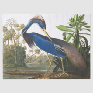 Papel De Seda Louisiana Heron por John James Audubon