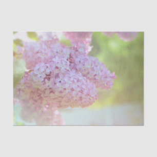 Papel De Seda Luces Lilac Luminosas Morado Hermoso País