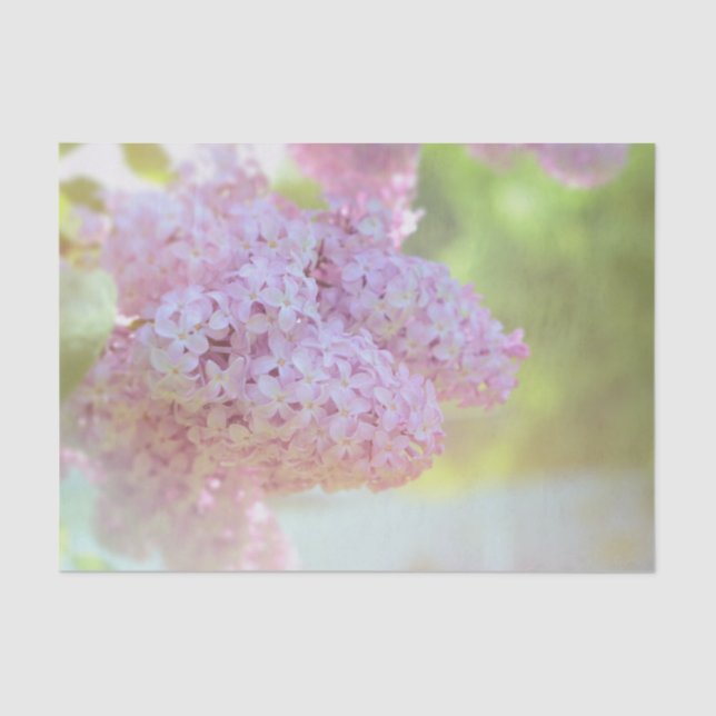 Papel De Seda Luces Lilac Luminosas Morado Hermoso País (Anverso)