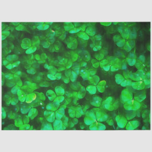 Papel De Seda Lucky Celtic Irish Green Shamrock