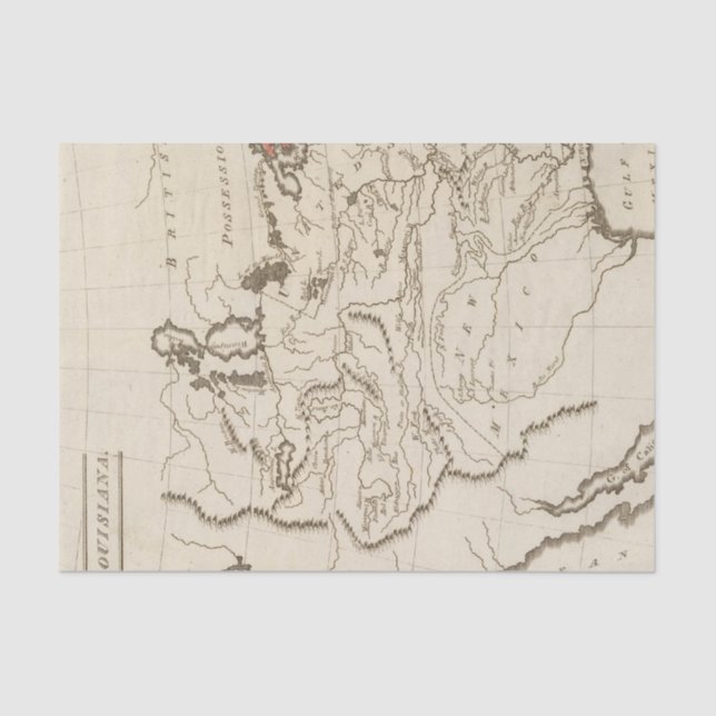 Papel De Seda Luisiana 4 (Anverso)