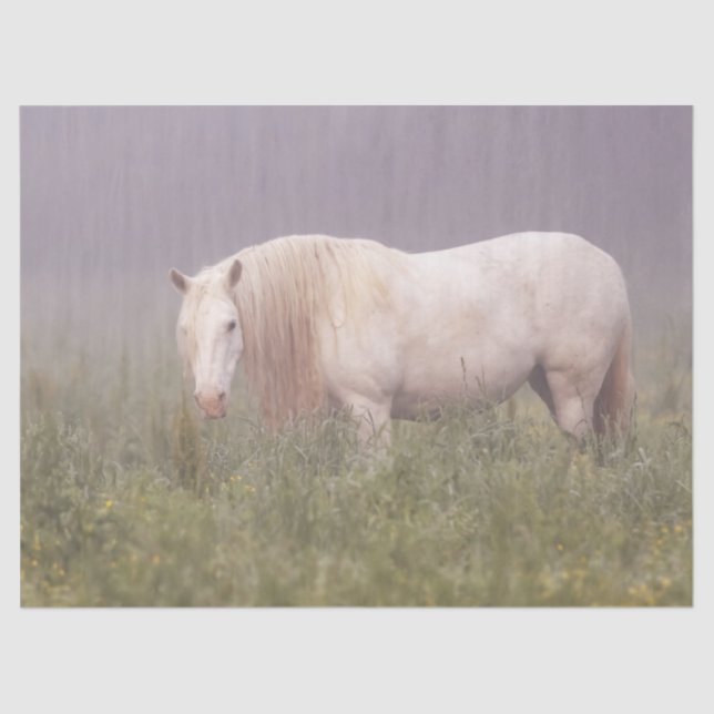 Papel De Seda Luna (Anverso)