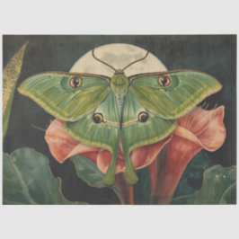 Papel De Seda Luna Moth ConservatoryvBotanicals