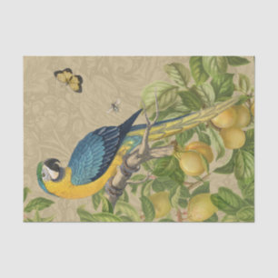 Papel De Seda Macaw Blue Yellow Tropical Jungle Antigüedad