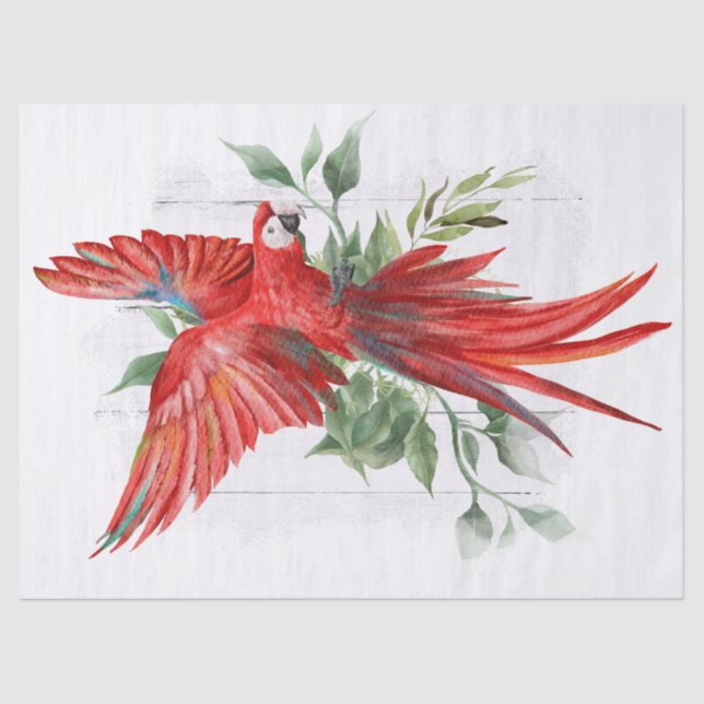 Papel De Seda Macaw Parrot Eucalyptus Watercolor (Anverso)