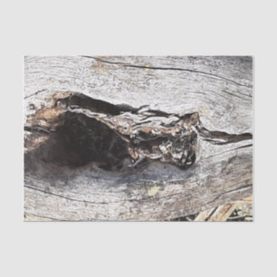 Papel De Seda madera de naturaleza