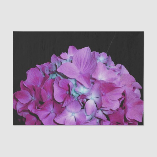 Papel De Seda Magenta Hydrangeas (Anverso)