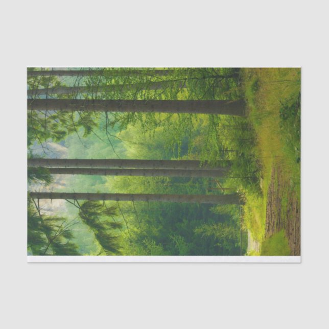 Papel De Seda Mágica niebla de senderos verdes (Anverso)