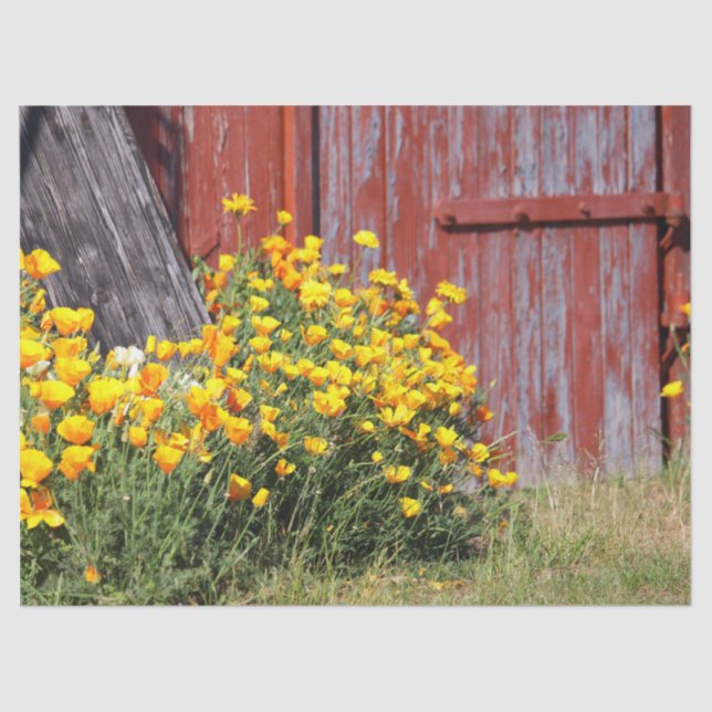 Papel De Seda ¡Magnífico! Una ráfaga de flores amarillas y un gr (Anverso)