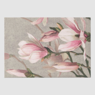 Papel De Seda Magnolia (1886)