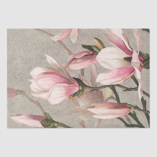 Papel De Seda Magnolia (1886) (Anverso)