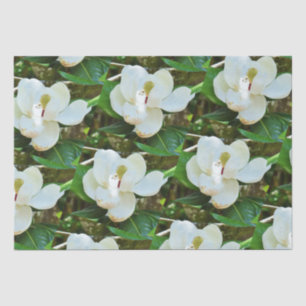 Papel De Seda Magnolia Blossoms Tejido
