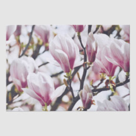 Papel De Seda Magnolia Floral Blossom Vintage Antigüedad