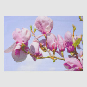 Papel De Seda Magnolia Flores Moda Floral Blossom Botánica