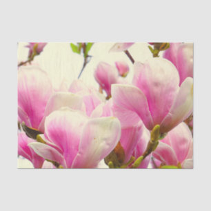 Papel De Seda Magnolia Flores Moda Floral Blossom Botánica