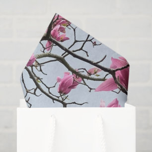 Papel De Seda Magnolia rosa primavera florece Hanami pacífico