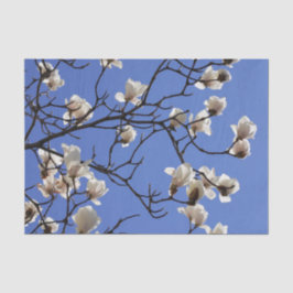 Papel De Seda Magnolias florecientes