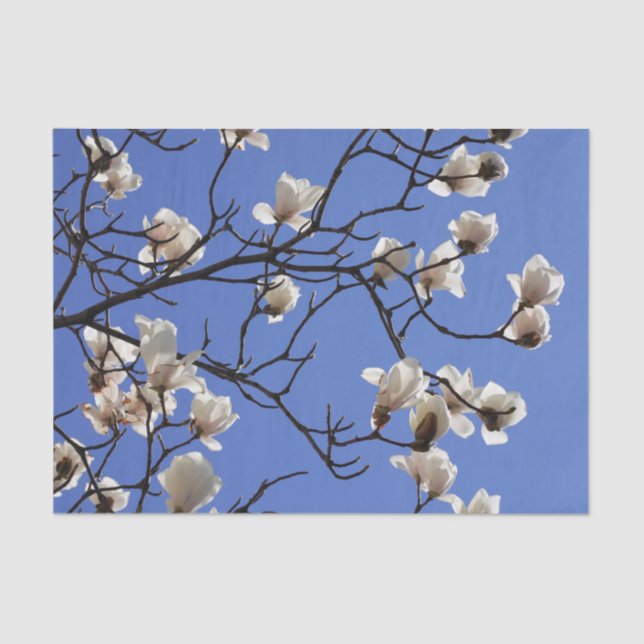 Papel De Seda Magnolias florecientes (Anverso)