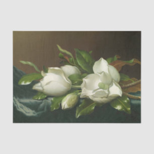 Papel De Seda Magnolias sobre tela de terciopelo azul claro de H
