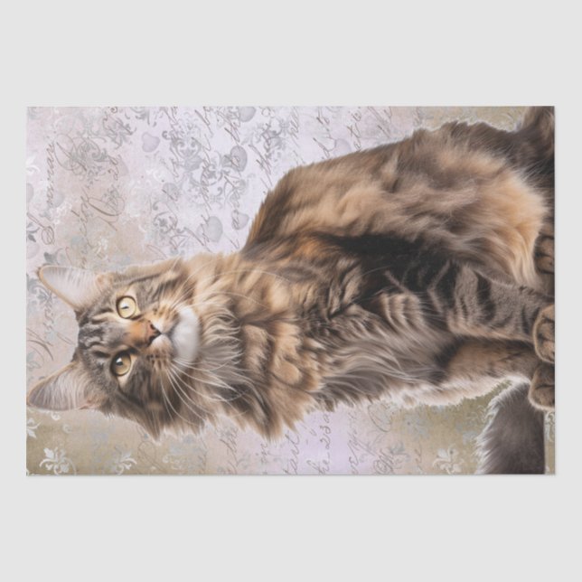 Papel De Seda Maine Coon Cat (Anverso)
