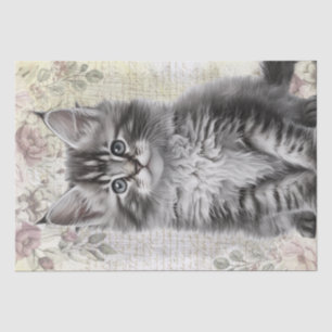 Papel De Seda Maine Coon Floral Cat Kitten