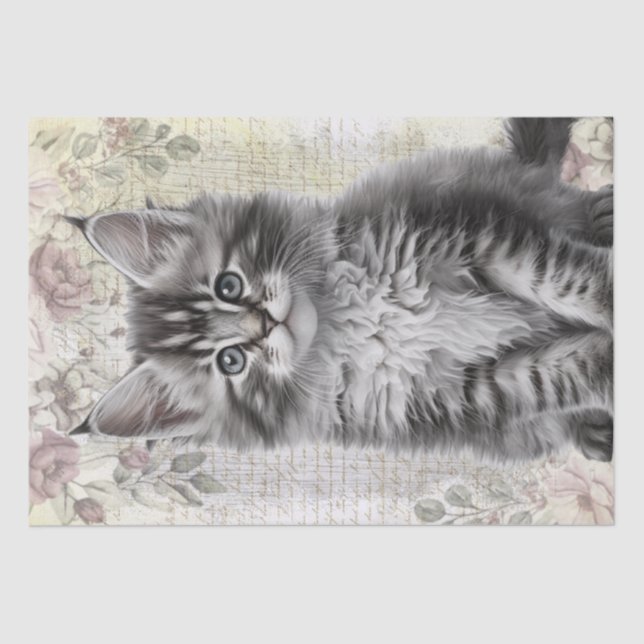 Papel De Seda Maine Coon Floral Cat Kitten (Anverso)