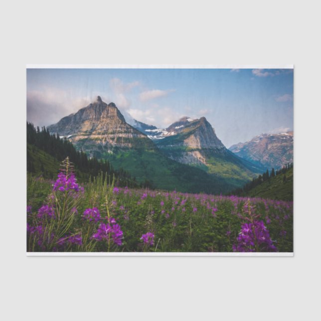 Papel De Seda Majestad de la Montaña Lupine Meadow (Anverso)