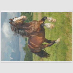 Papel De Seda Majestic Chestnut Clydesdale Horse Decoupage
