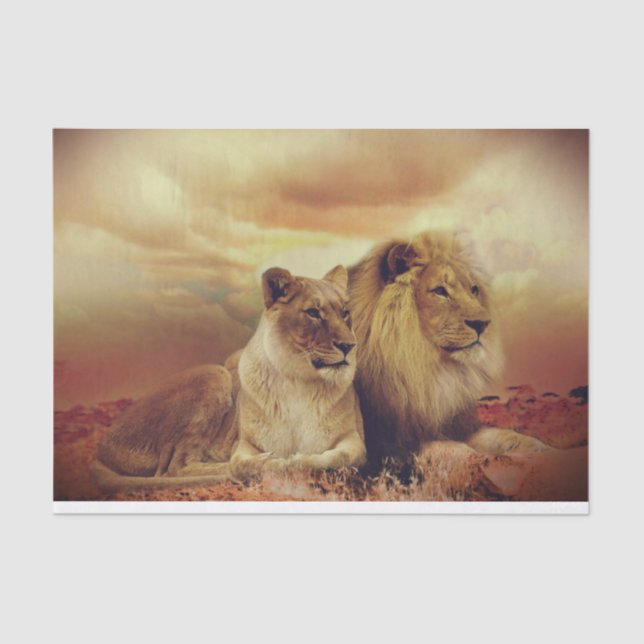 Papel De Seda Majestuoso León Africano Y Lionesa (Anverso)