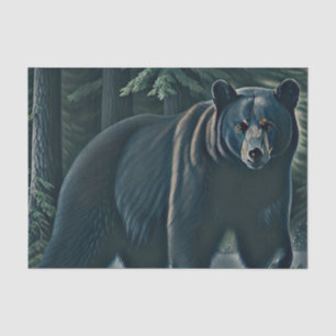 Papel De Seda Majestuoso Oso Negro Del Bosque Del Norte