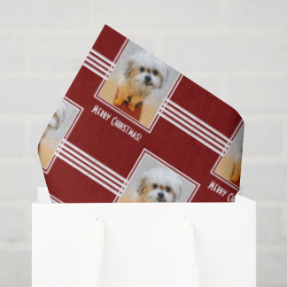 Papel De Seda Malshi Tissue Paper