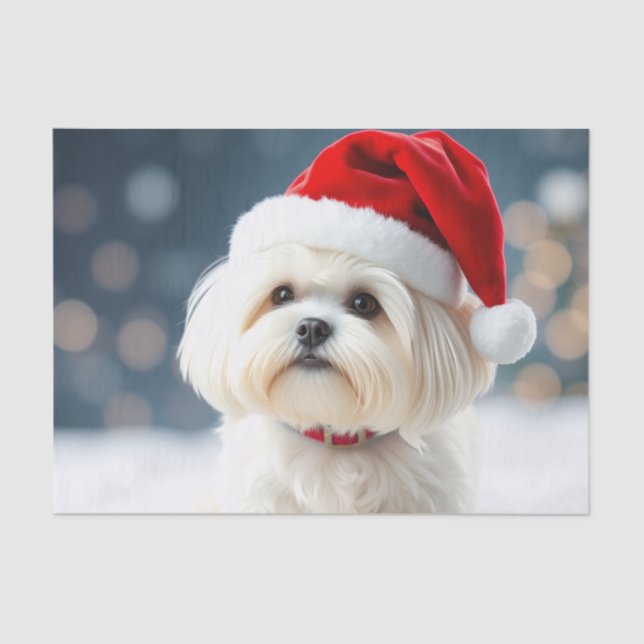 Papel De Seda Maltese Tissue Paper (Anverso)