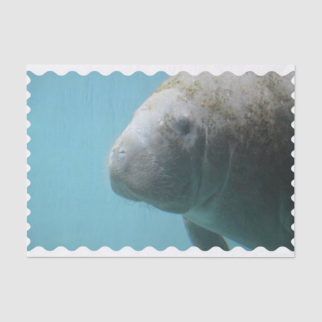 Papel De Seda Manatee grande subacuático (Anverso)