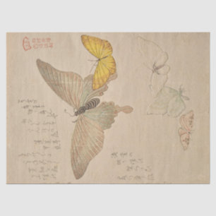 Papel De Seda Manual de pintura de bandada de mariposas por Shun