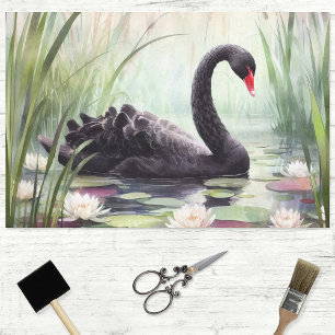 Papel De Seda Manual decoupage de cisne negro con acuarela
