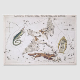 Papel De Seda Mapa Celeste Astronómico Antiguo