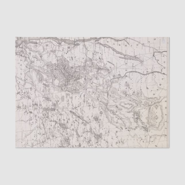 Papel De Seda Mapa de época de los Adirondacks Nueva York (Anverso)