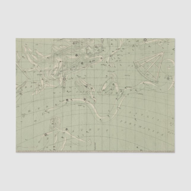 Papel De Seda Mapa de estrella (Anverso)