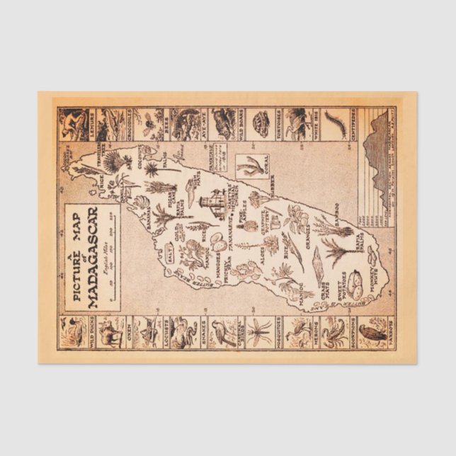 Papel De Seda Mapa de imágenes antiguas de la isla tropical de M (Anverso)